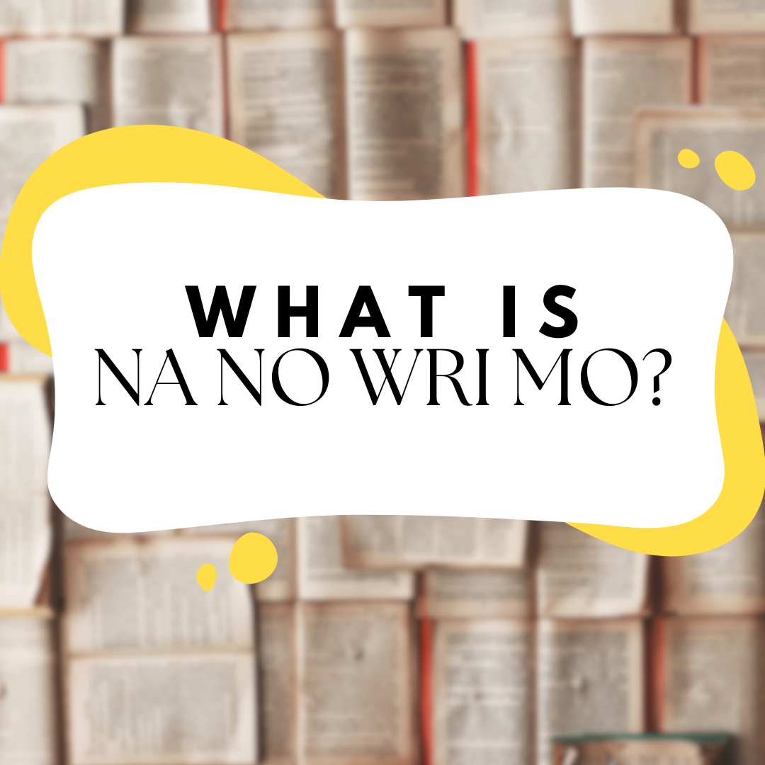 order of the bookish graphics what is nanowrimo?