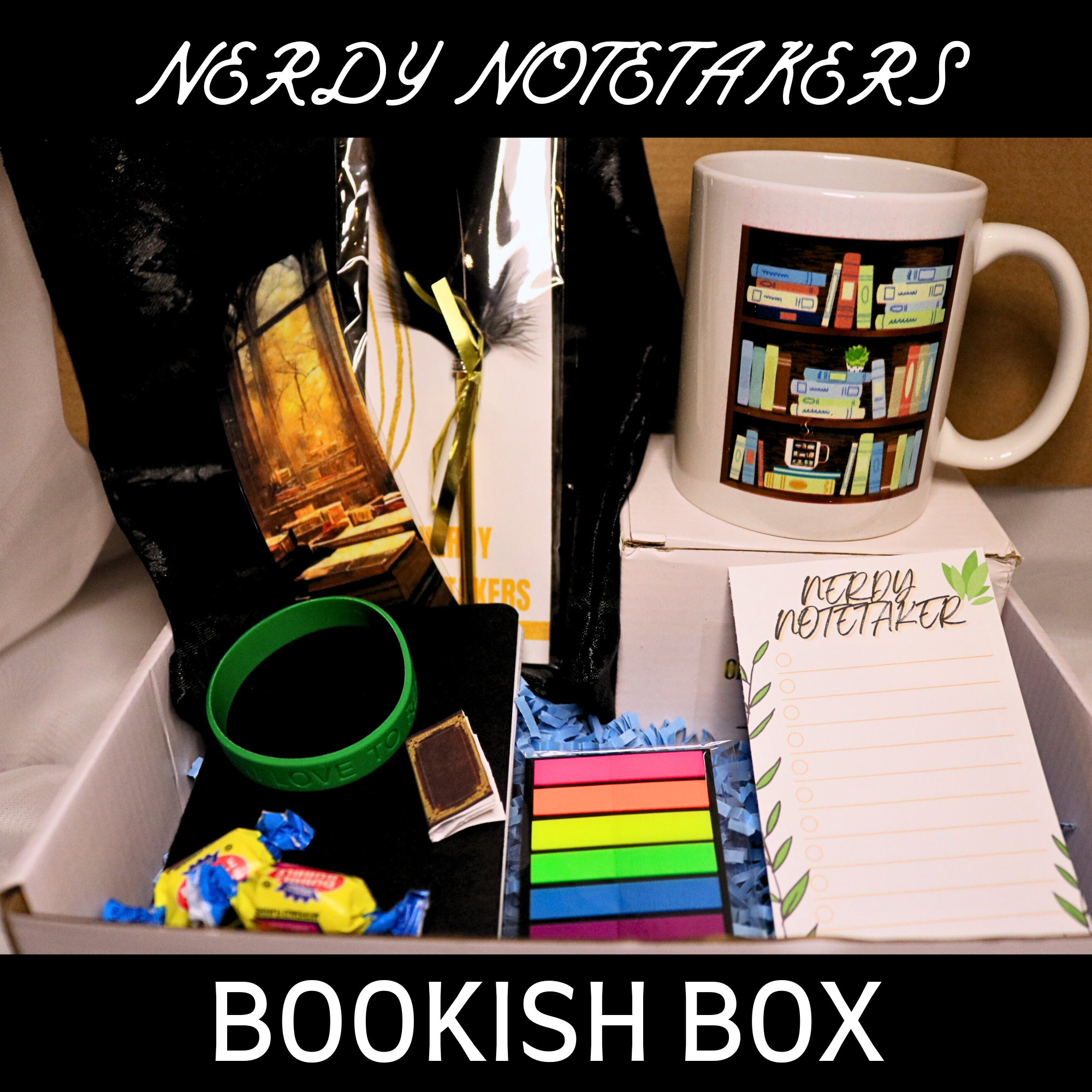 nerdy notetakers book box (8)
